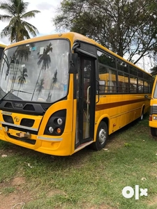 Tata morcopolo 50 seater school buses