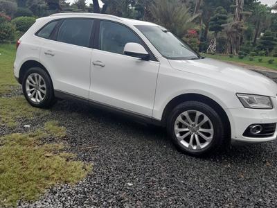 Used 2015 Audi Q5 [2013-2018] 2.0 TDI quattro Premium for sale at Rs. 18,00,000 in Delhi