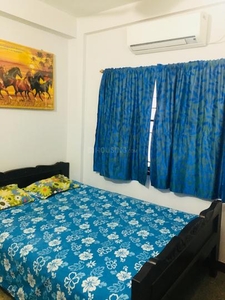 1 BHK Flat for rent in Naktala, Kolkata - 425 Sqft