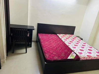 1 BHK Villa for rent in Sector 135, Noida - 600 Sqft