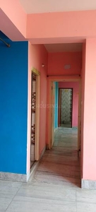 2 BHK Flat for rent in New Town, Kolkata - 800 Sqft