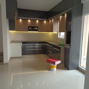 3 BHK Flat for rent in Noida Extension, Greater Noida - 1585 Sqft