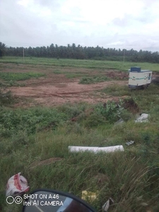 Agricultural Land 16 Acre for Sale in Neelambor, Coimbatore