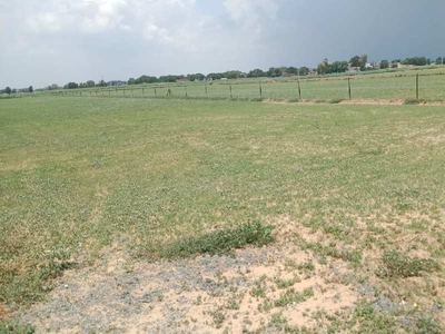 Agricultural Land 2 Bigha for Sale in