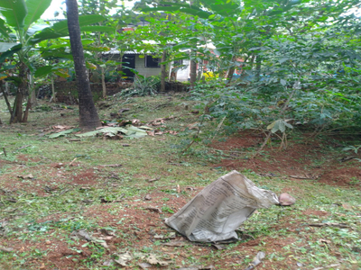 Agricultural Land 20 Cent for Sale in Angadipuram, Malappuram