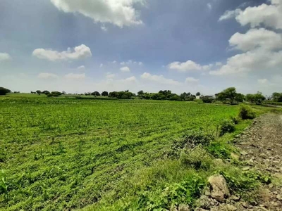 Agricultural Land 4898 Sq.ft. for Sale in