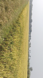 Agricultural Land 5 Acre for Sale in Madambakkam, Chennai