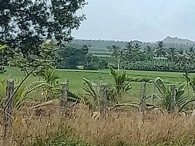 Agricultural Land 70 Cent for Sale in Sathy Road, Coimbatore