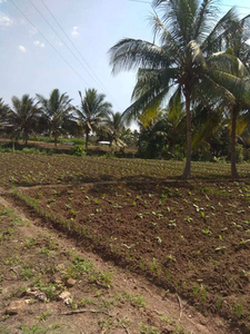 Agricultural Land 8 Ares for Sale in