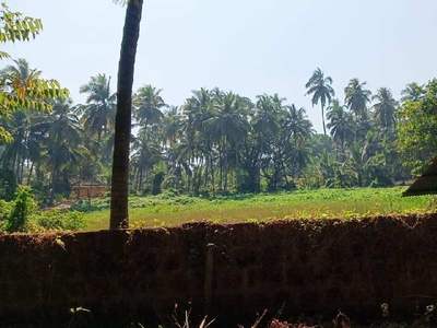 Commercial Land 7000 Sq. Meter for Sale in Caranzalem, North Goa,