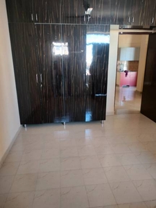 1000 sq ft 2 BHK 2T Apartment for rent in Ninex RMG Residency at Sector 37C, Gurgaon by Agent Shree Ram Properties