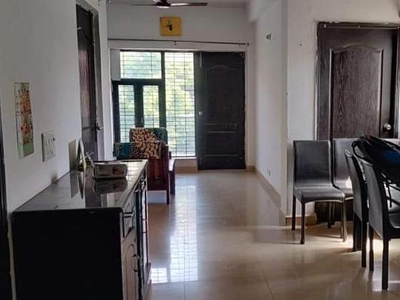 3.5 Bedroom 1997 Sq.Ft. Apartment in Sector 99a Gurgaon