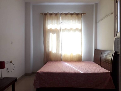 650 sq ft 1RK 1T Apartment for rent in RWA Defence Colony Block A at Defence Colony, Delhi by Agent seller