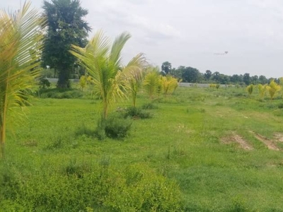 10000 sq ft Plot for sale at Rs 37.50 lacs in Project in Chengalpattu, Chennai