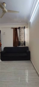 600 sq ft 1 BHK 1T Apartment for rent in Project at BTM Layout, Bangalore by Agent Fairoz Khan Real Estate