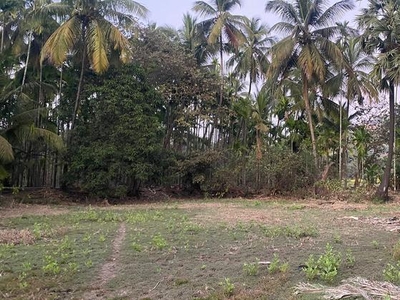 Alibag Chaul Agriculture Farmhouse Plot