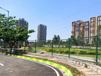 Meadows Phase 2