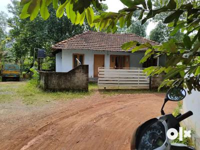 5 cent old house at for sale pallikara