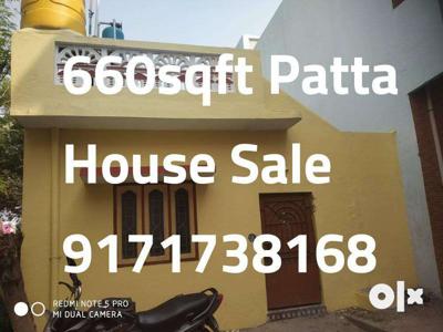 Patta House 660 sqft