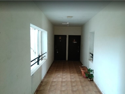 1252 sq ft 2 BHK 2T Apartment for sale at Rs 85.00 lacs in Pate Golden Petals in Karve Nagar, Pune