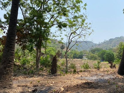 Alibag Chaul Agriculture Wadi Hill View Plot