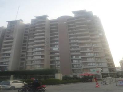 440 sq ft 1RK 1T East facing Apartment for sale at Rs 27.00 lacs in Supertech Eco Suites 6th floor in Sector 137, Noida