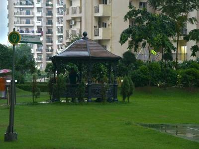 1050 sq ft 2 BHK 2T Apartment for rent in Paramount Floraville at Sector 137, Noida by Agent Pratap Associates