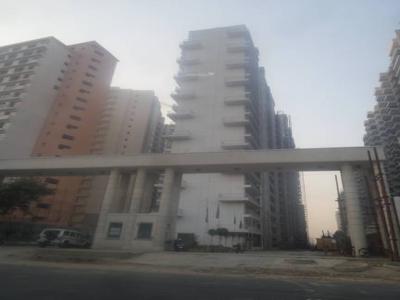 800 sq ft 1 BHK 1T Apartment for rent in Victory Ace at Sector 143, Noida by Agent seller