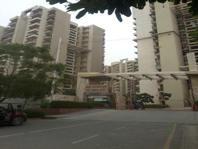 Gaursons and Saviour Builders Gaur City 4th Avenue in Sector 4 Noida Extension, Greater Noida