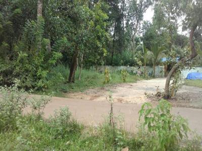 Plot of land Alappuzha For Sale India
