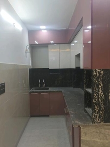 3 BHK Independent Floor for rent in Shastri Nagar, New Delhi - 900 Sqft