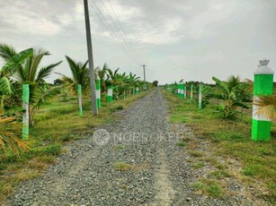 Plot For Sale In Organic Farm Land In Singaperumal Koil