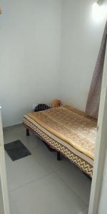 1 BHK Flat for rent in Nerhe, Pune - 300 Sqft