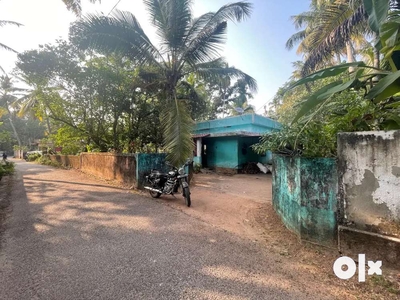 10.5 cent with house 500m away from NH66 in Chavara