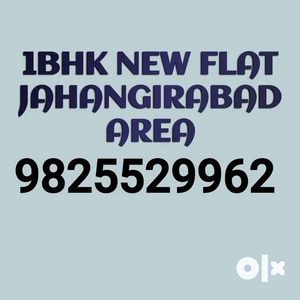 1bhk new project resale