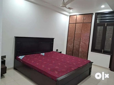 2 bhk ultra luxurious furnished flate vaishali nagar