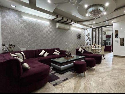 3 bhk fully furnished house rani bagh pitampura