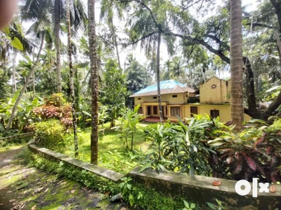 38 cent land and 3bhk house for sale in Elattery, koyilandy