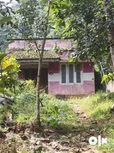 Panjami house