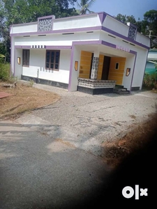 1100sqft house with 6 cnet plot for sale in perumpuzha