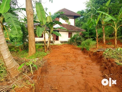 1.5 Acre Land with Traditional House