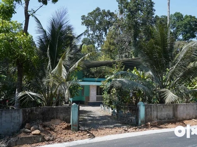 28 Cent Land & Old House near to Uzhavoor Town for sale.