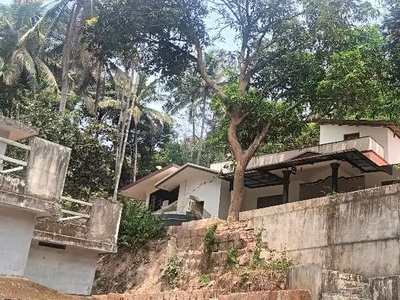 35 cent land 3 bhk house for sale valiyavelicham