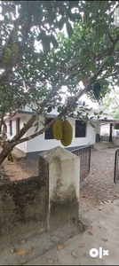 3BHK, 1100 Sq, 10Cent, Kothamangalam, inchoor, 500 M Bus route, well w