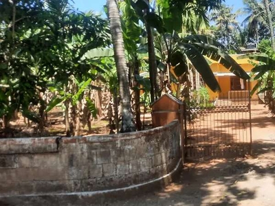 50 cent land n old house for sale near punkunnam