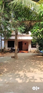 8 cent plot and 800 square ft house at puliyanam near angamaly.