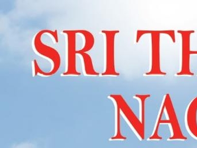 800 Sqft Plot For Sale in Nallambakkam, Chennai