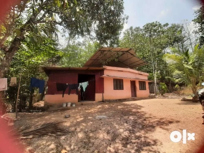 800sqft house with 20 cent plot for sale in perumpuzha jn
