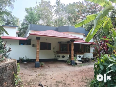 A well established house with 3 bedrooms near Kanjippura Moodal bypass