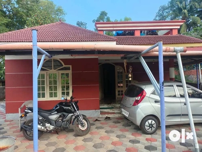 House for sale (1200sqf) ( 8.5cent)